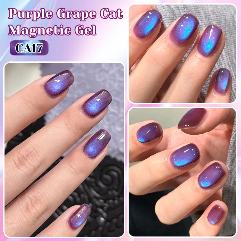 Blueberry Cat Magnetic Gel CA17 10ml - Image 2