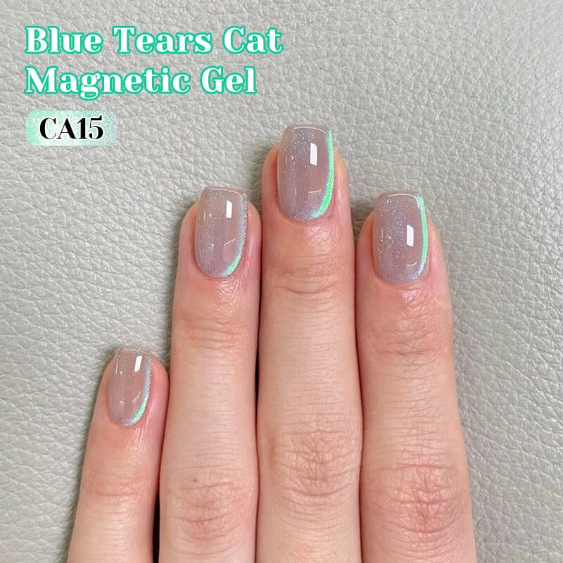 Blueberry Cat Magnetic Gel CA17 10ml - Image 3