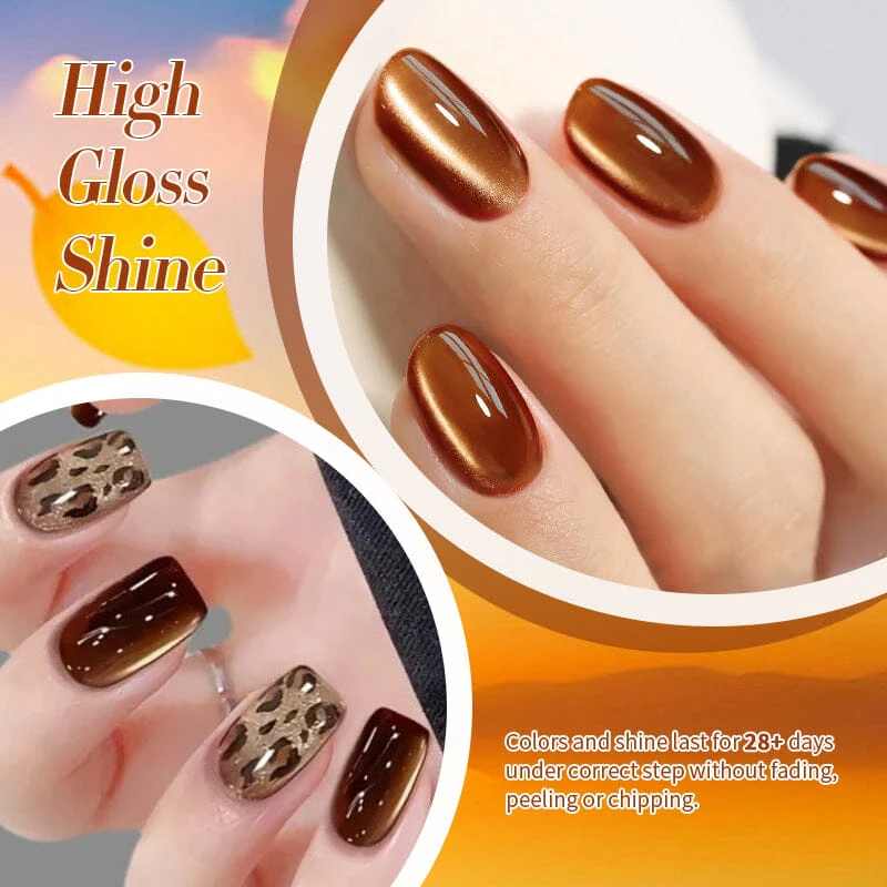 Cat Magnetic Gel Polish 10ml - Image 6