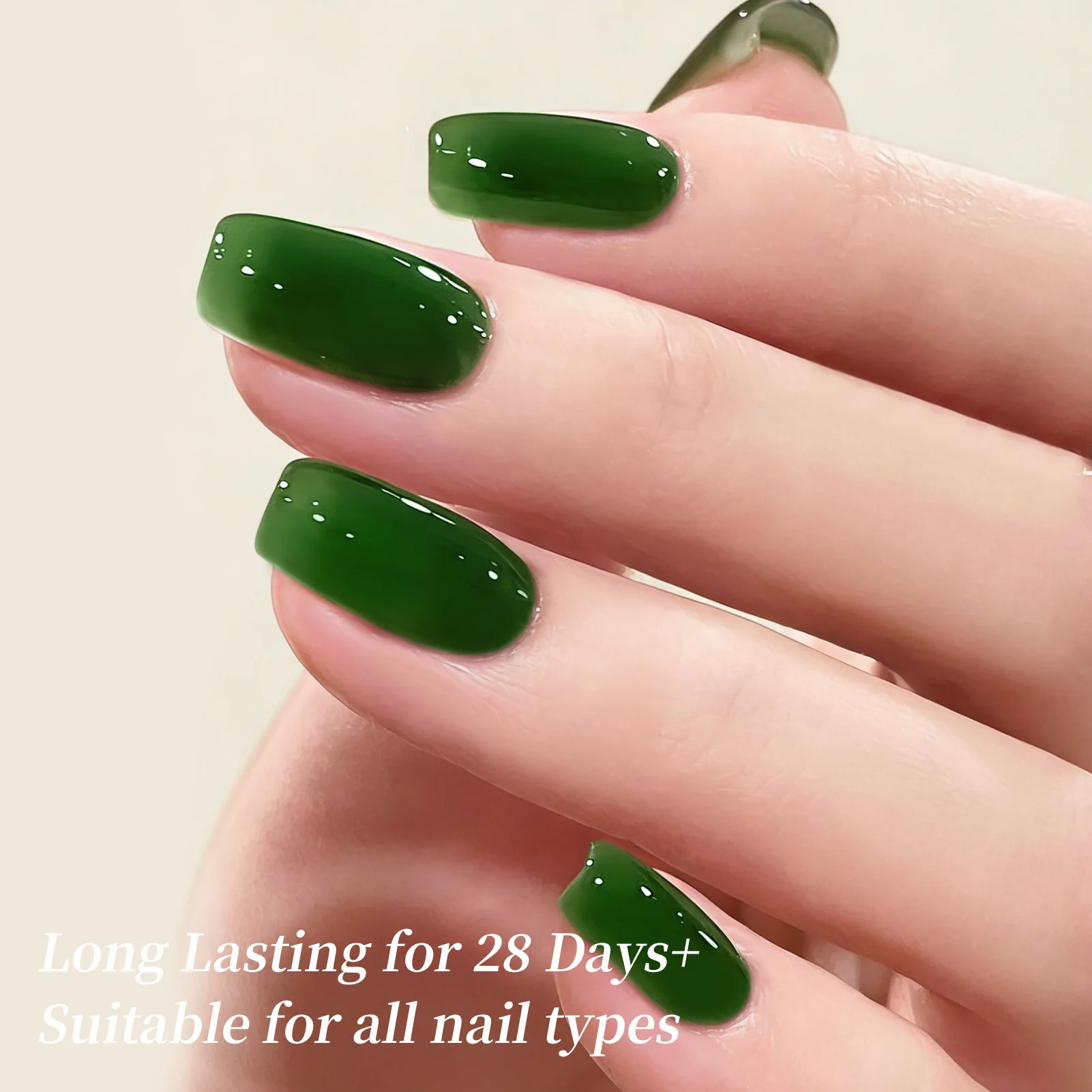 Jelly Gel TS56 Jade Pine 15ml - Image 3
