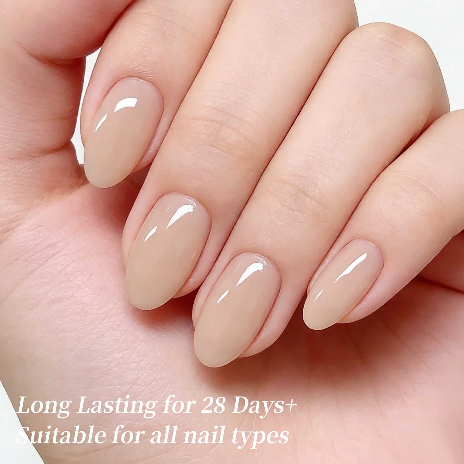 Jelly Gel TS65 Clean Base 15ml - Image 2